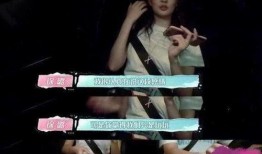 邯郸小三最新爆料视频,揭秘惊人内幕，真相大白！